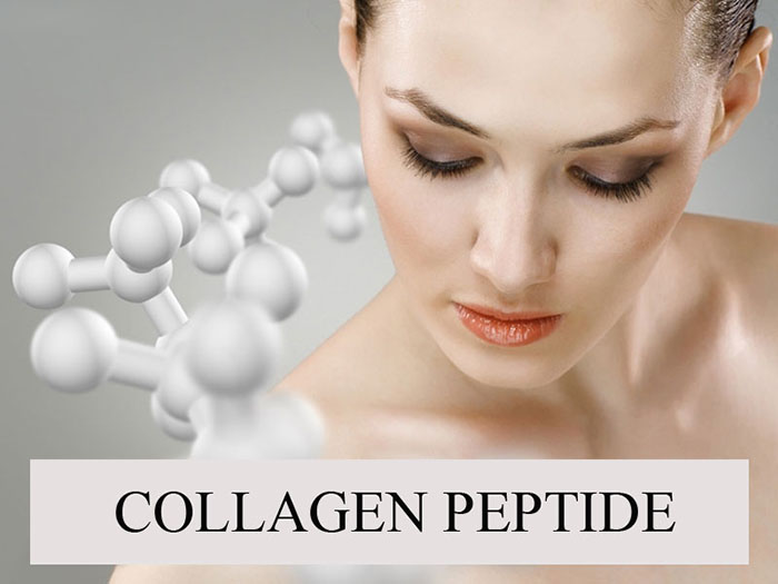 Collagen Peptide là gì?