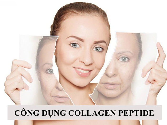 Tác dụng của Collagen Peptide 
