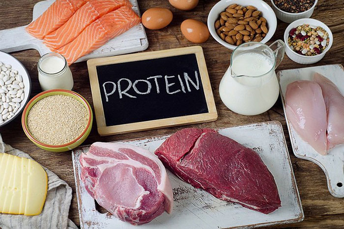 Cung cấp đầy đủ lượng protein cho cơ thể.