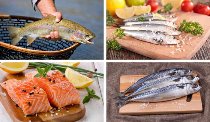 5 loại cá chứa nhiều DHA tốt cho sức khỏe của trẻ